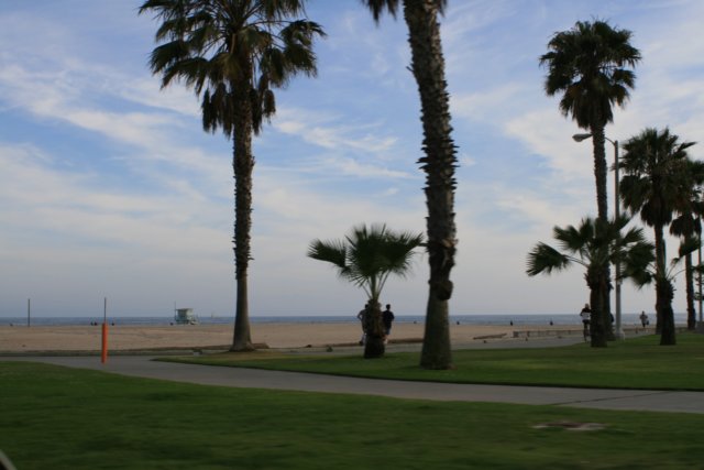 venicebeach.jpg