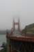 grayinthebaygoldengateagain_small.jpg