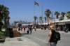 fiapvenicebeach_small.jpg