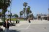 sisvenicebeach_small.jpg