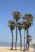 venicebeach2_small.jpg