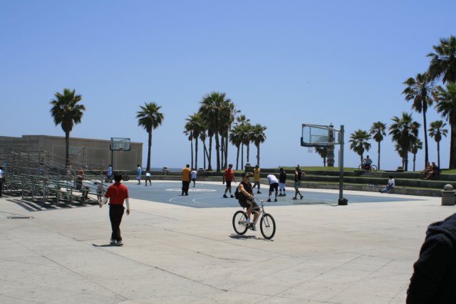 venicebeach3.jpg