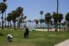 venicebeach4_small.jpg