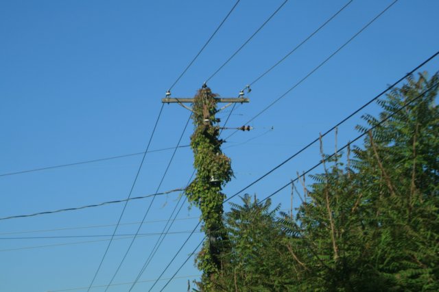 finelstolpeniceelectricalpole2.jpg