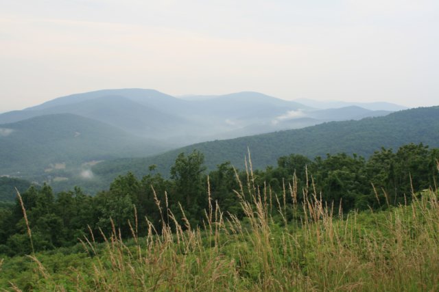 shenandoahnationalpark.jpg