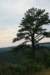 shenandoahnationalpark3_small.jpg